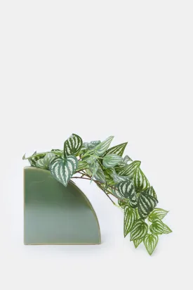 Artificial Creeper Plant In Ceramic Pot