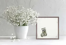 Baby Raccoon Kit Mini Framed Canvas