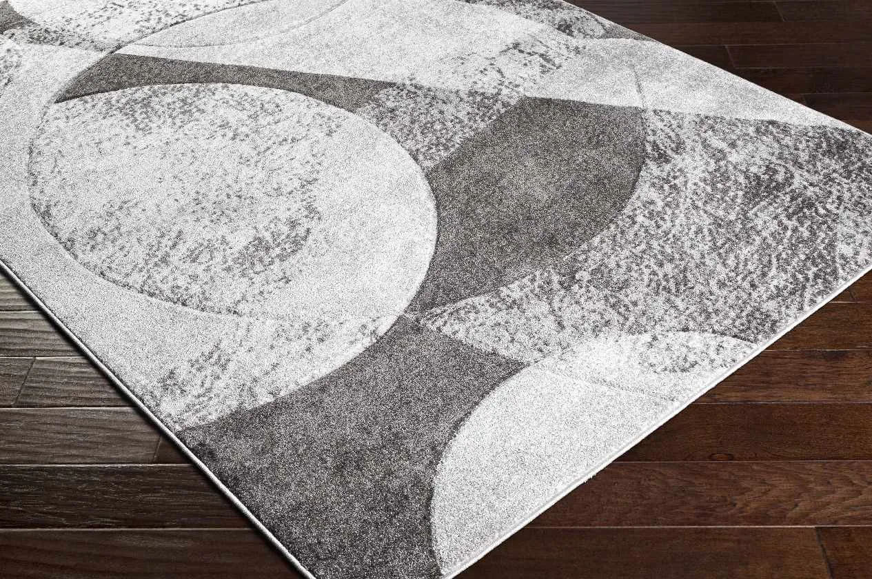 Chenkins Modern Area Rug