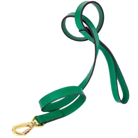 Lavish Dog Leash in Emerald Green & Gold